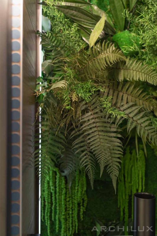 Вертикальное озеленение. Фитодизайн. Стена из живых растений - представляем пример: квартира в серых тонах, неоклассика в интерьере